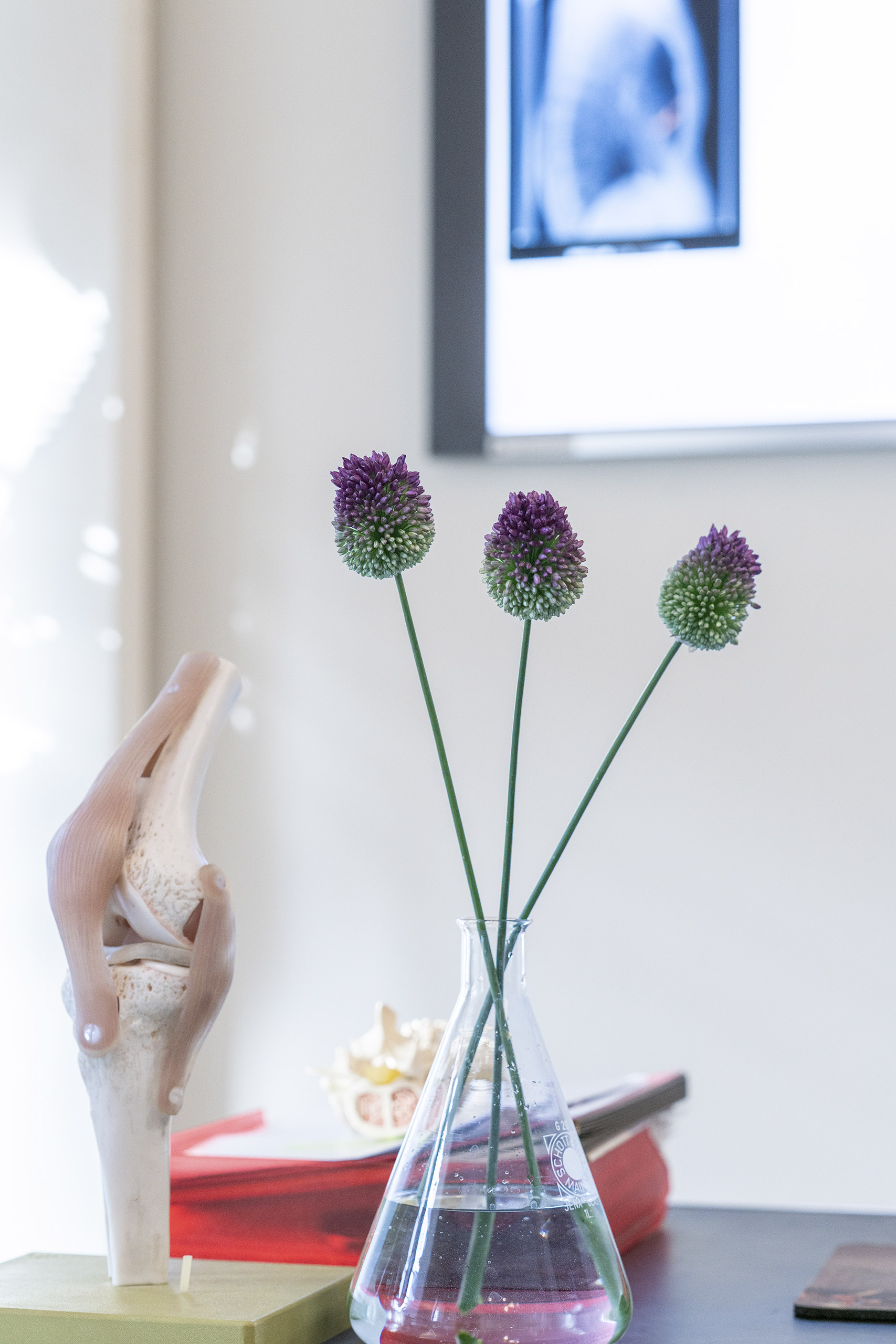 Praxis für Orthopädie und Unfallchirurgie Praxis für Orthopädie und Unfallchirurgie